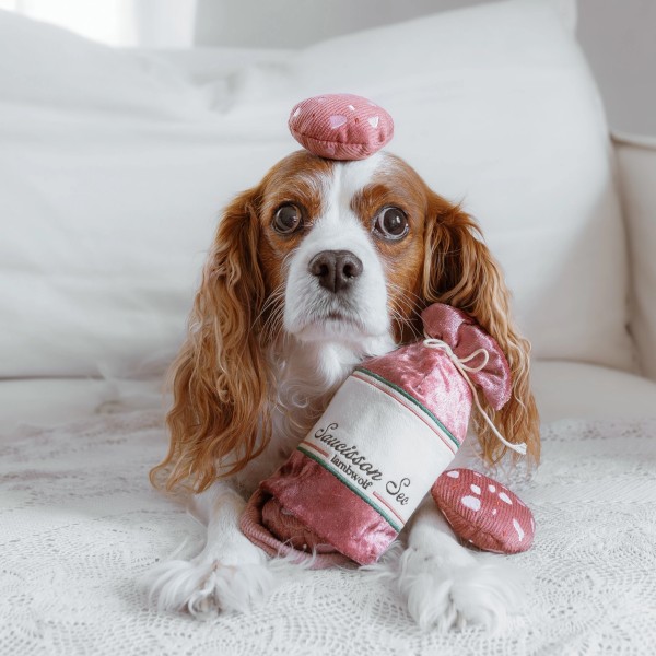 Salami