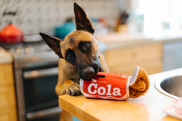 Cola